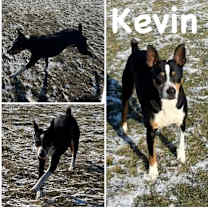 Thumbnail photo of Kevin #1