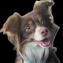 Thumbnail photo of 24-517D Gemi #3