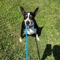 Thumbnail photo of Kevin #3