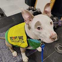 Thumbnail photo of Benji #3