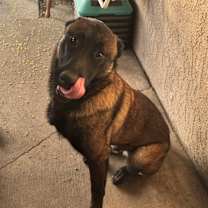 Thumbnail photo of Juan #1