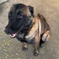 Thumbnail photo of Juan #2