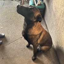 Thumbnail photo of Juan #3