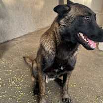 Thumbnail photo of Juan #4