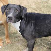 Thumbnail photo of Emma - KA #1