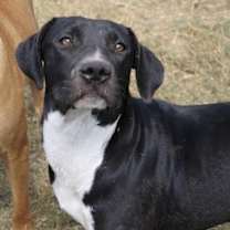 Thumbnail photo of Emma - KA #3