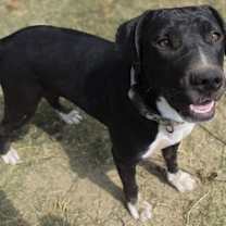 Thumbnail photo of Emma - KA #4