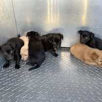 Thumbnail photo of Emilio Estevez B1214 #2