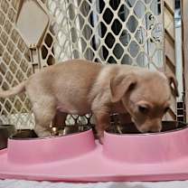 Thumbnail photo of Demi Moore B1214 #4