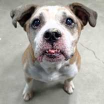 Thumbnail photo of Donnie #1