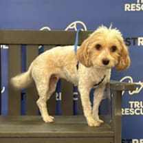 Thumbnail photo of EVIE #1