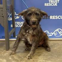 Thumbnail photo of LARKEN. #2