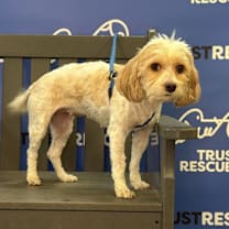 Thumbnail photo of EVIE #2