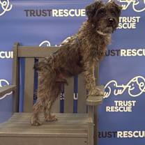 Thumbnail photo of WIZARD #3