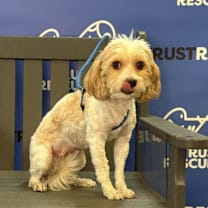 Thumbnail photo of EVIE #4