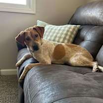 Thumbnail photo of Pumpkin #4