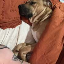 Thumbnail photo of Gunnar #4