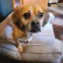 Thumbnail photo of Ashford #3