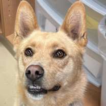 Thumbnail photo of Bay #1