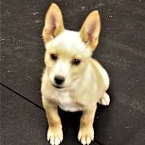 Thumbnail photo of Bay #2