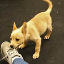 Thumbnail photo of Bay #3