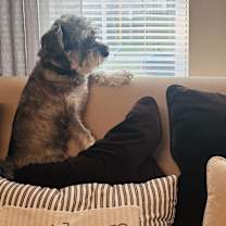 Thumbnail photo of Koopa #4