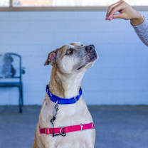 Thumbnail photo of Clarence #1