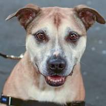 Thumbnail photo of Clarence #2