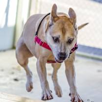 Thumbnail photo of Clarence #3