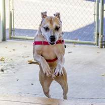 Thumbnail photo of Clarence #4