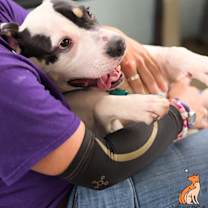 Thumbnail photo of Squishmallow #2