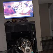 Thumbnail photo of Callait #3