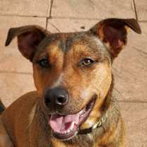 Thumbnail photo of Emmet #2