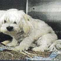 Thumbnail photo of Polly - 3 #2