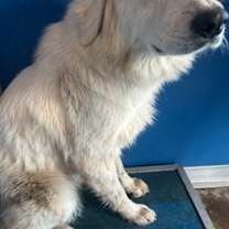 Thumbnail photo of Eleanor #2