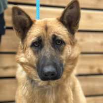 Thumbnail photo of Luna #2