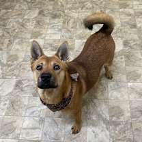 Thumbnail photo of Prism #2