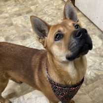 Thumbnail photo of Prism #3