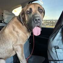 Thumbnail photo of Chili Mac #3