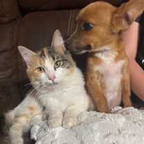 Thumbnail photo of Charlie Gilstrap #3