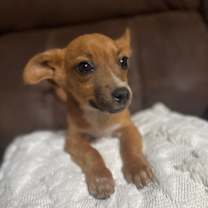 Thumbnail photo of Charlie Gilstrap #4