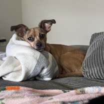 Thumbnail photo of Señor #2