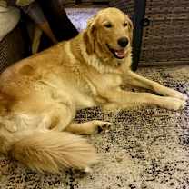 Thumbnail photo of Maya #3