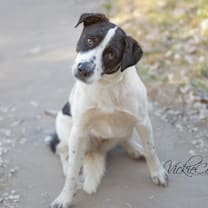 Thumbnail photo of Zoe #1