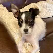 Thumbnail photo of Penelope #3