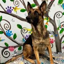 Thumbnail photo of Ellie May 25 #1