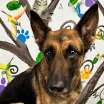 Thumbnail photo of Ellie May 25 #2