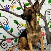 Thumbnail photo of Ellie May 25 #3