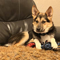 Thumbnail photo of Bento #1