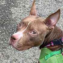 Thumbnail photo of Kay #4